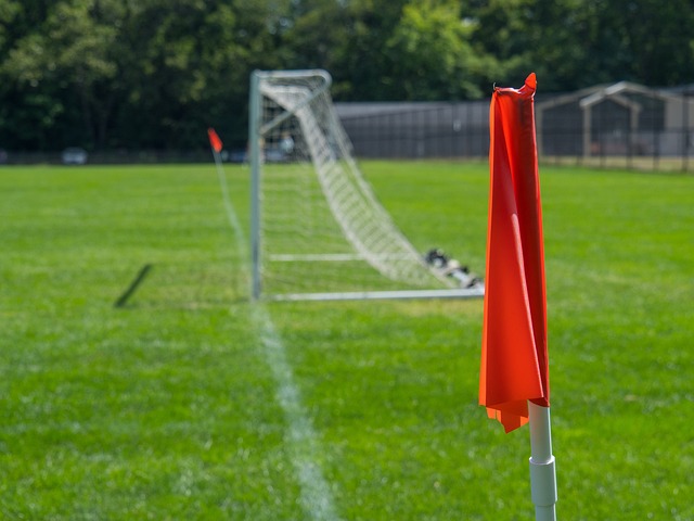 他的努力生 他的努力生