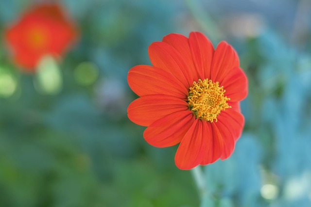 敏锐的场上 敏锐的场上