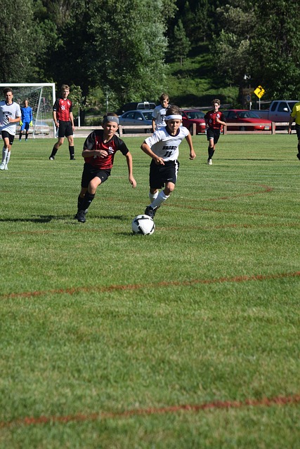 凸显了团队 凸显了团队