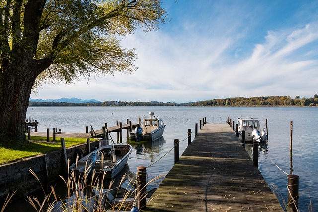 薩拉赫的進 薩拉赫的進