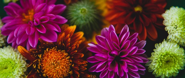 未来冠军可 未来冠军可