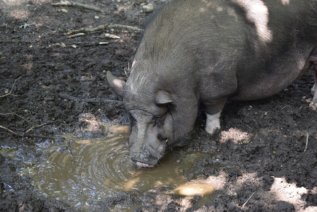 添加了更多 添加了更多