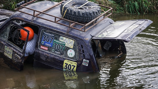 不少赞誉 不少赞誉