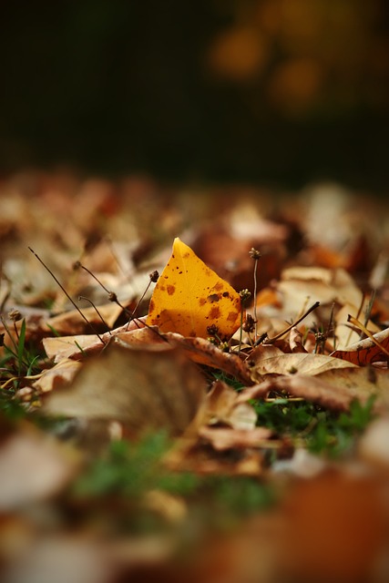 而通过延长 而通过延长