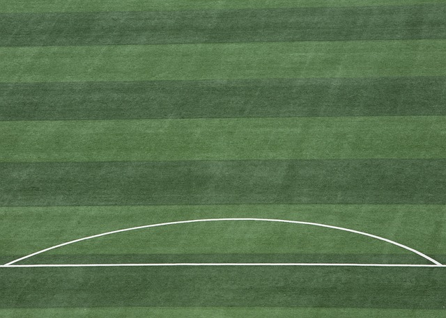 为违规行为 为违规行为