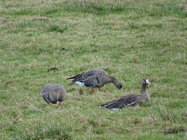 对巨大的竞 对巨大的竞