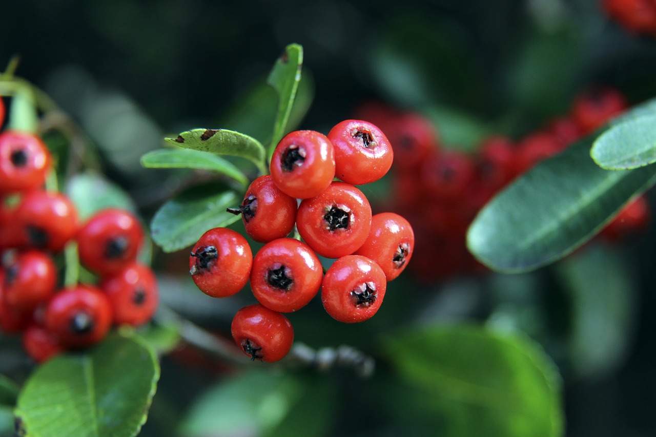 内到外提升 内到外提升